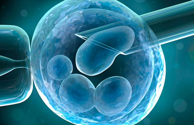 ivf2.jpg